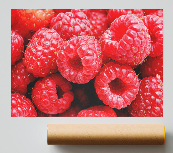 Raspberry Delight Giclee Print