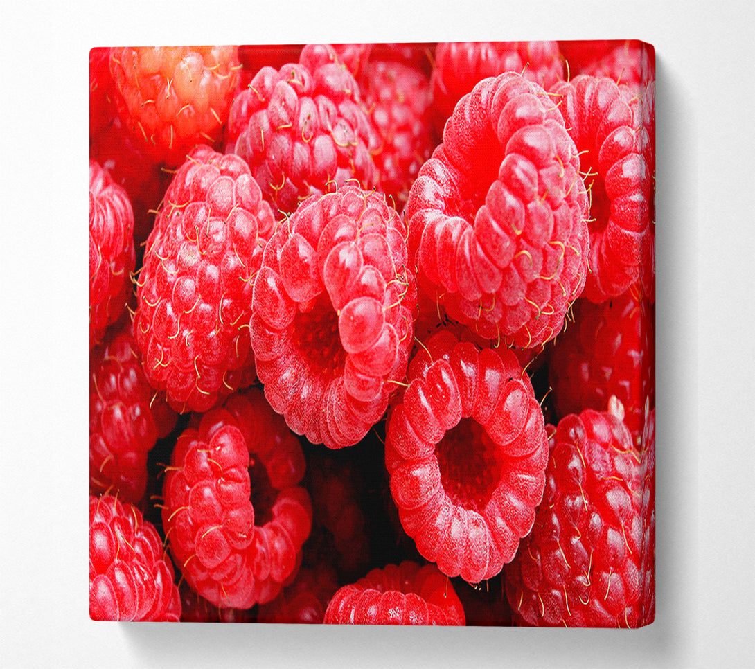  A Canvas Print of Raspberry Delight Canvas Print