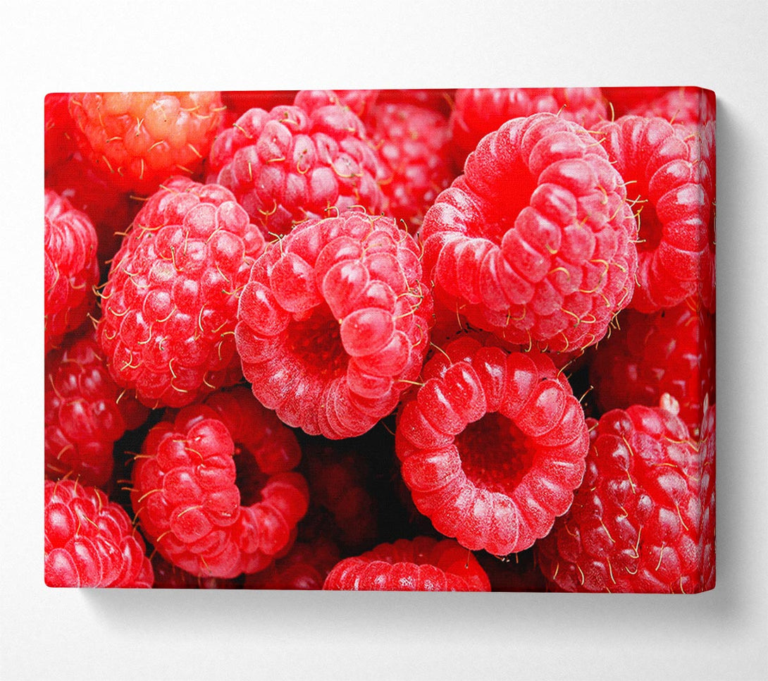  A Canvas Print of Raspberry Delight Canvas Print
