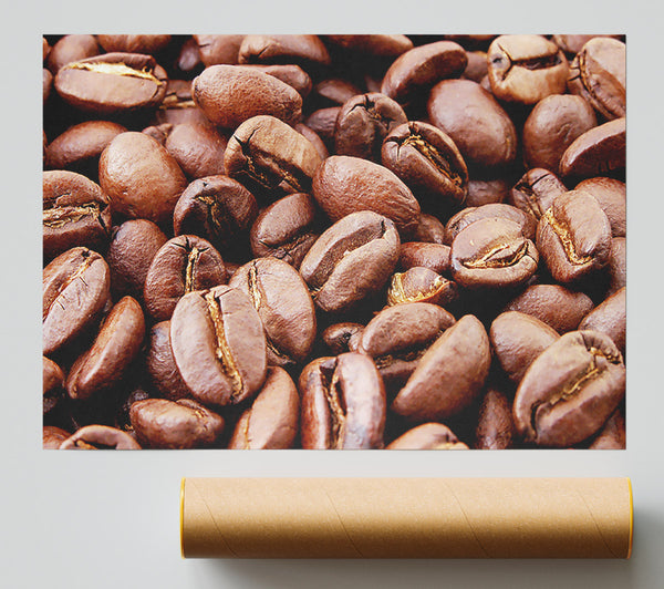 Coffee Beans Print