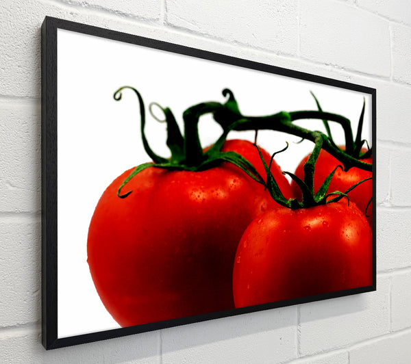 Tomato Trio