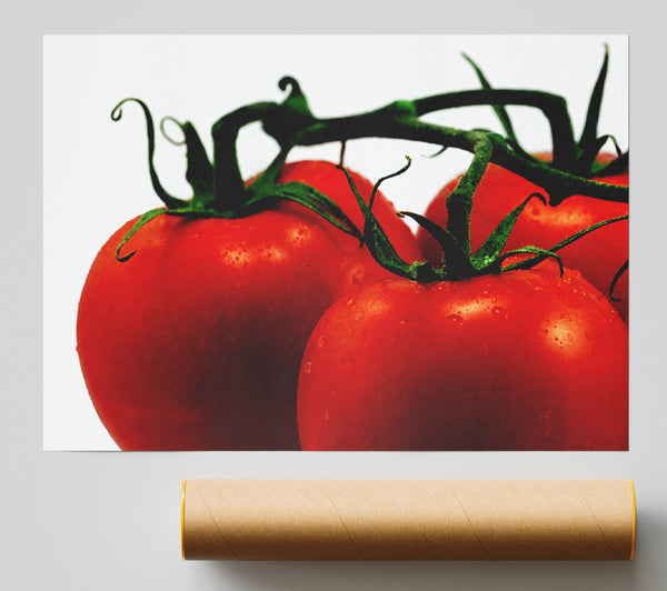 Tomato Trio Print