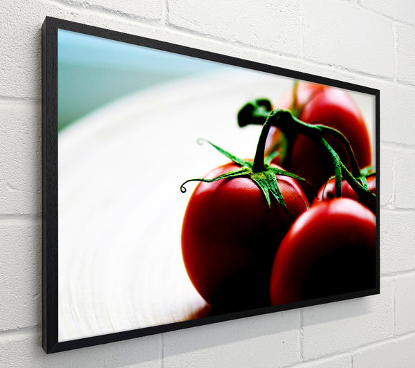 Tomato Stalk