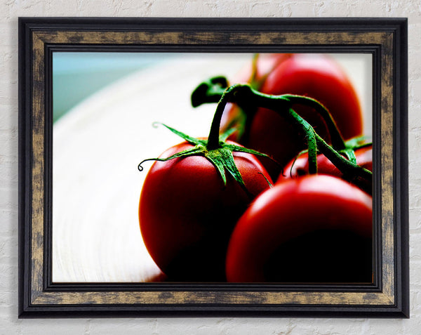 Tomato Stalk Framed Print