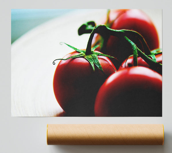 Tomato Stalk Poster