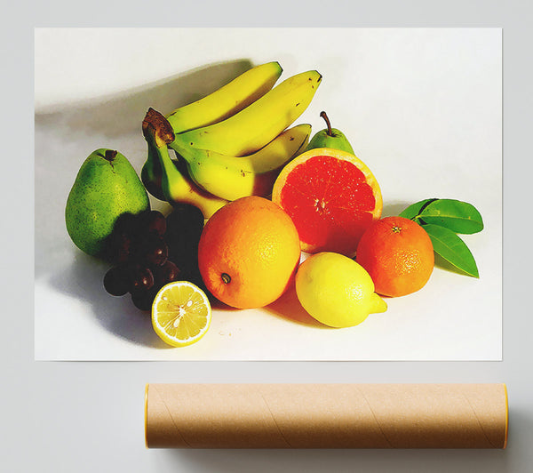 Fruit Harvest Print