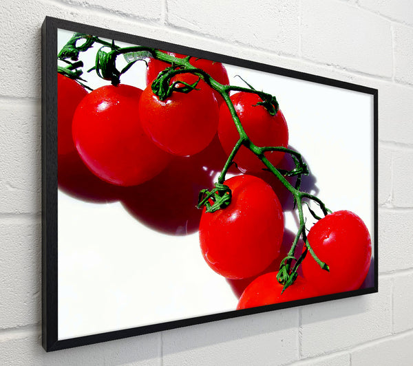 Red Cherry Tomato Vine