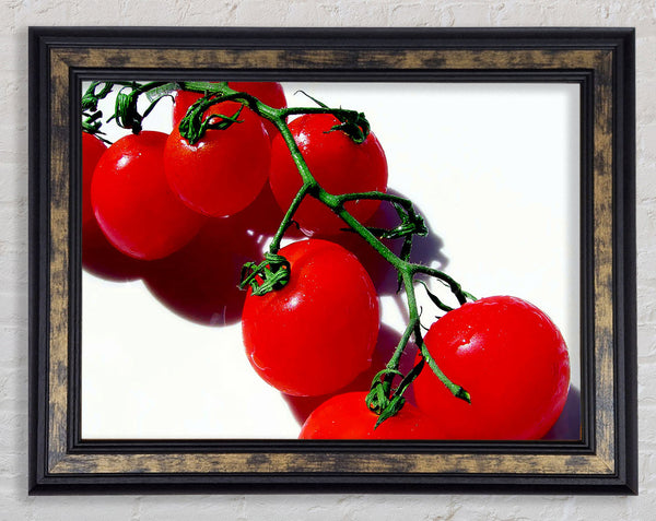 Red Cherry Tomato Vine Framed Print
