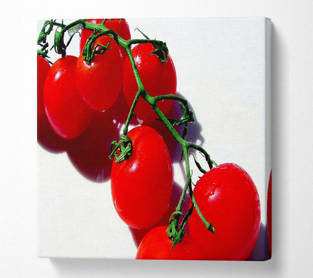 A Canvas Print of Red Cherry Tomato Vine Canvas Art