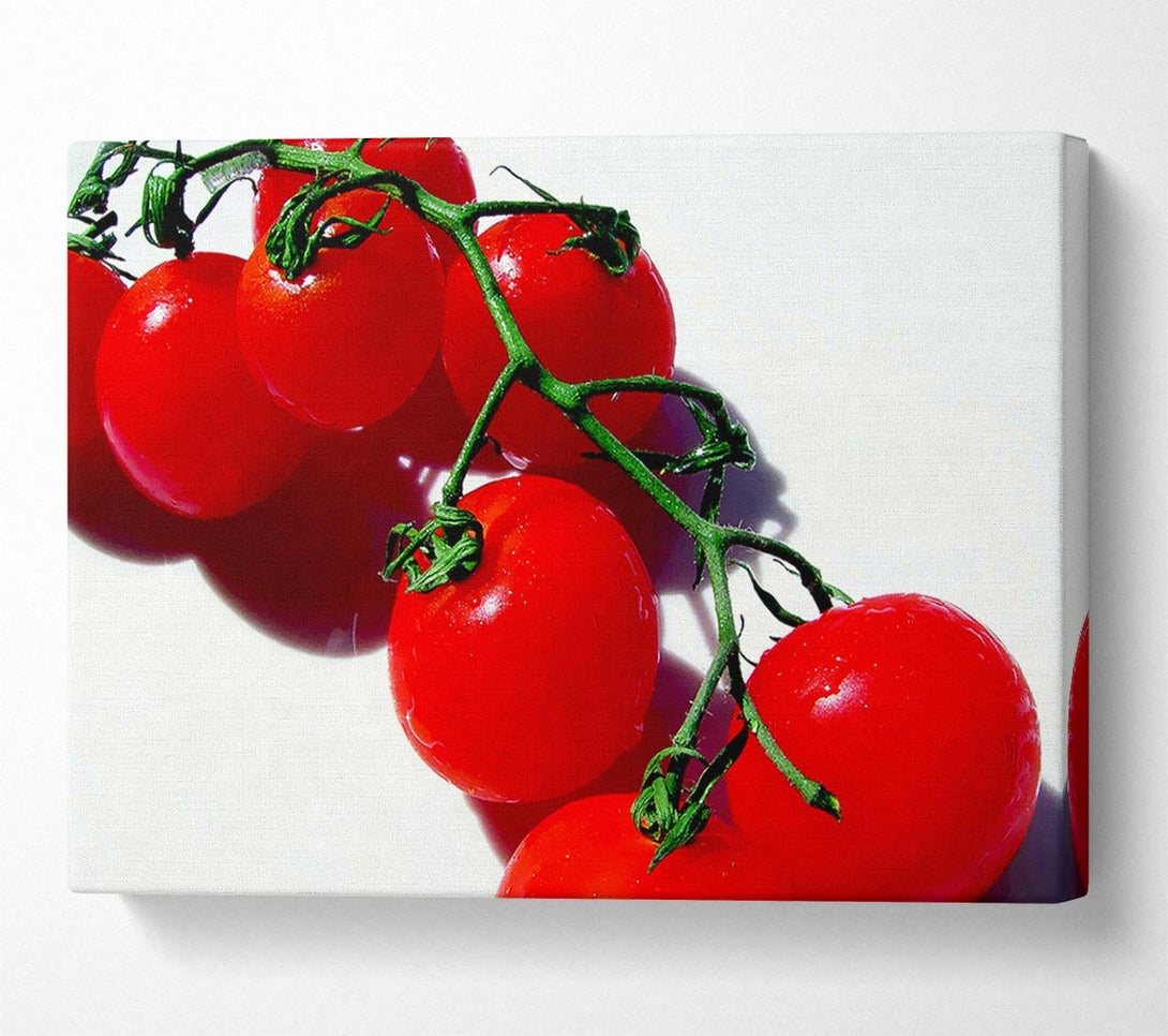  A Canvas Print of Red Cherry Tomato Vine Canvas Art