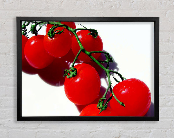 Rote Kirschtomatenrebe