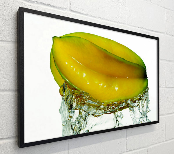 Exotic Splash