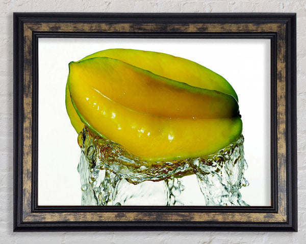 Exotic Splash Framed Print