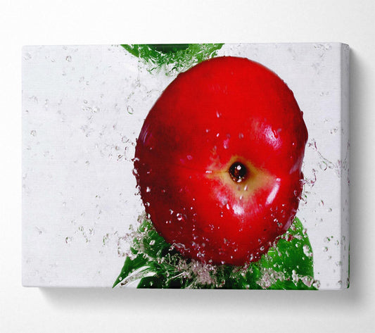 Red Splash Canvas Wall Art