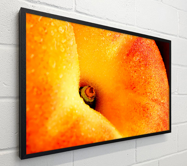 Peach Close-Up