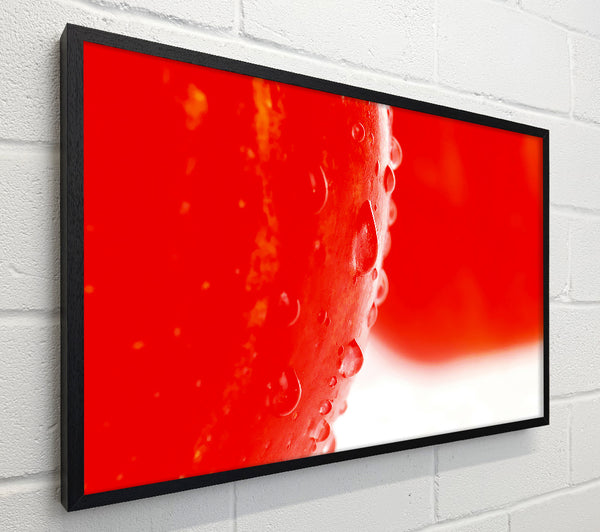 Red Apple Close-Up