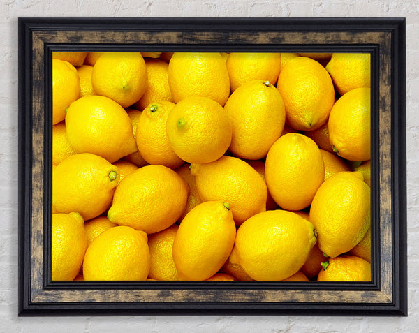 Nothing But Lemons Framed Print