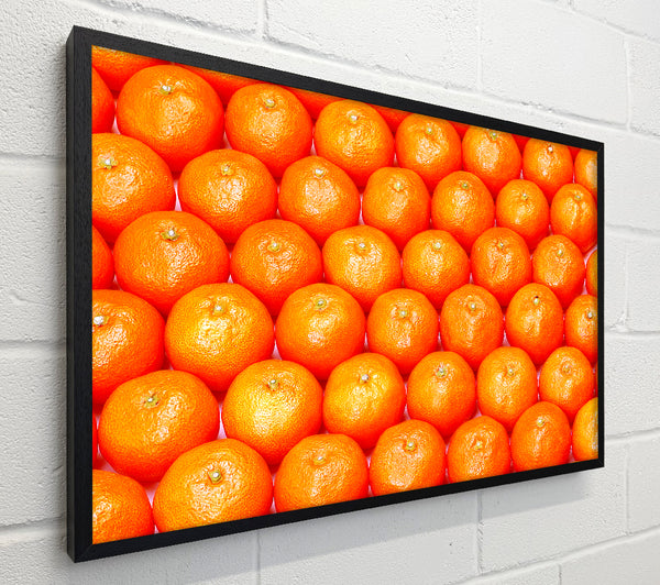Orange Galour