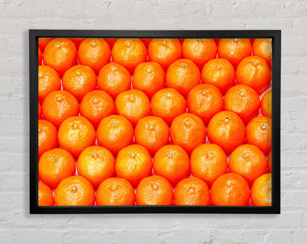 Orange Galour Framed Print