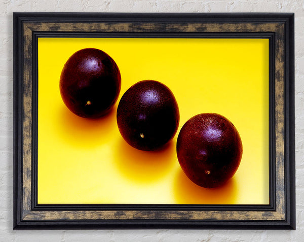 Plums Trio Framed Print