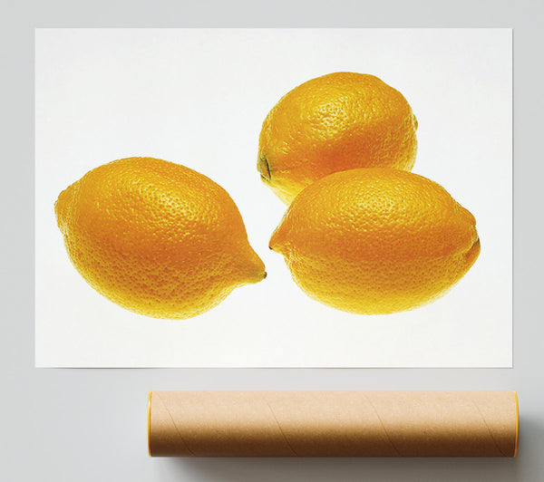 Lemon Trio Giclee Print