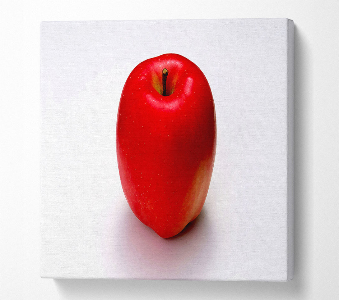  A Canvas Print of Single Red Apple Canvas Art