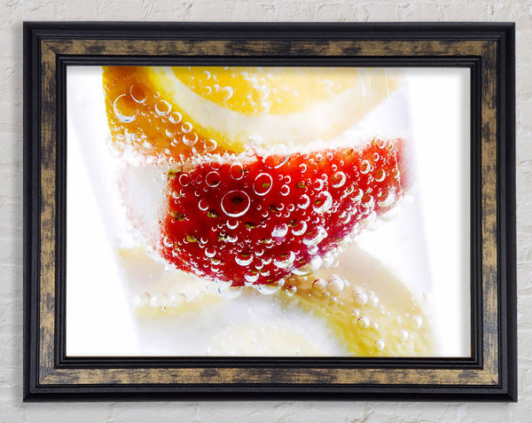 Fruit Fizz Framed Print