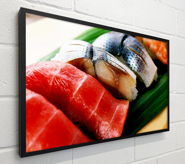 Fish Choice