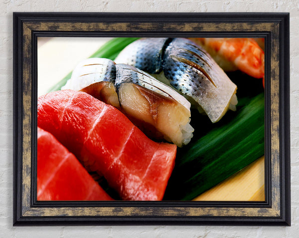 Fish Choice