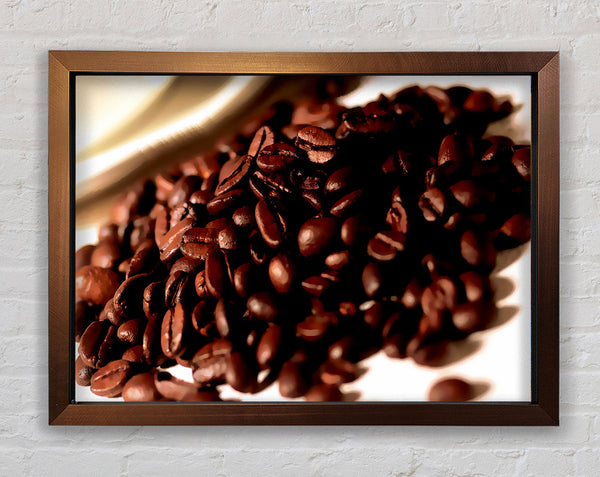 Coffee Bean Display