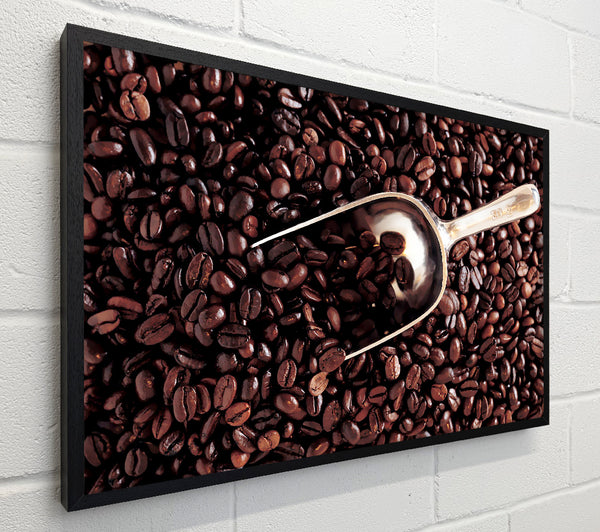Coffee Bean Scoop