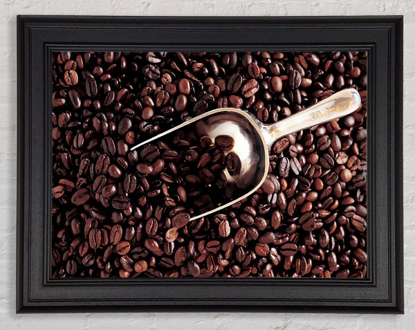 Kaffeebohnenlöffel