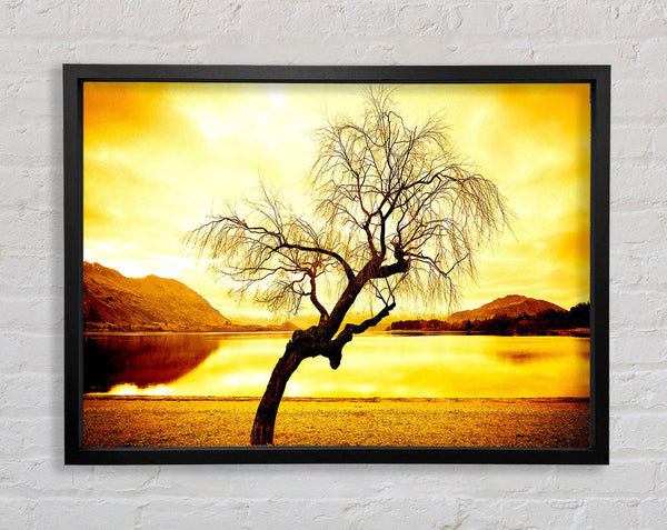 Willow Tree In Winter Framed Print