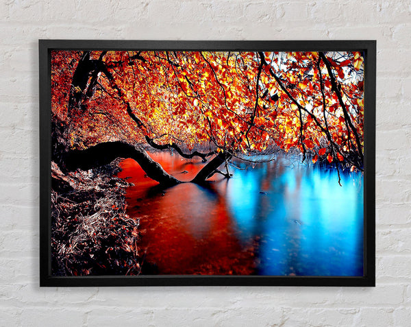 Tree Branches Over The Lake Framed Print