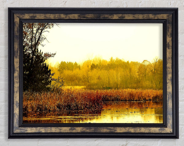 Lake In The Morning Sun Framed Print