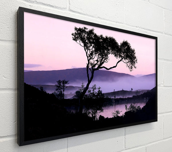 Lakeside Tree