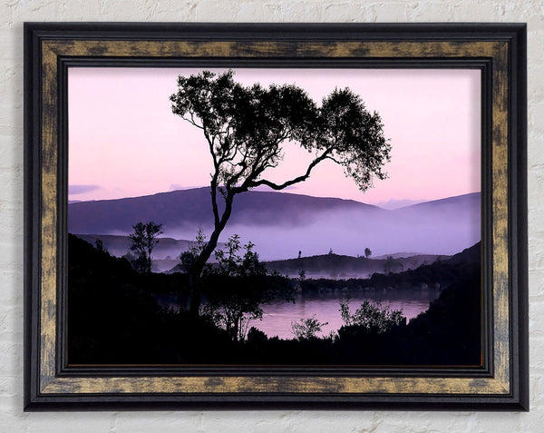 Lakeside Tree Framed Print