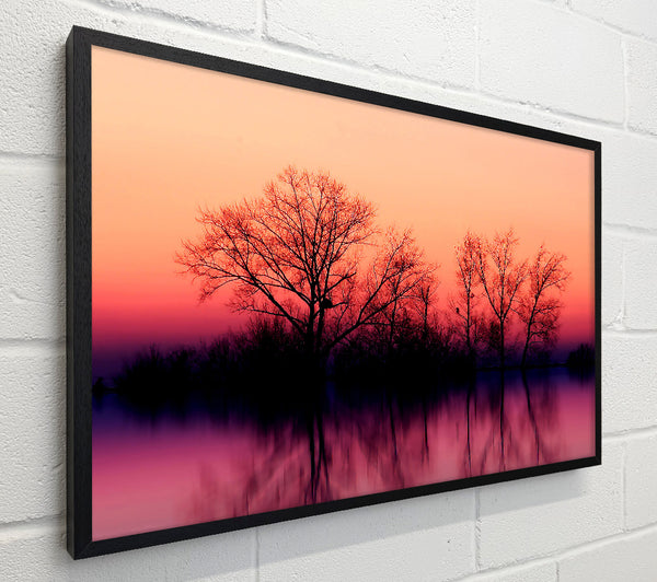 Trees At Dusk