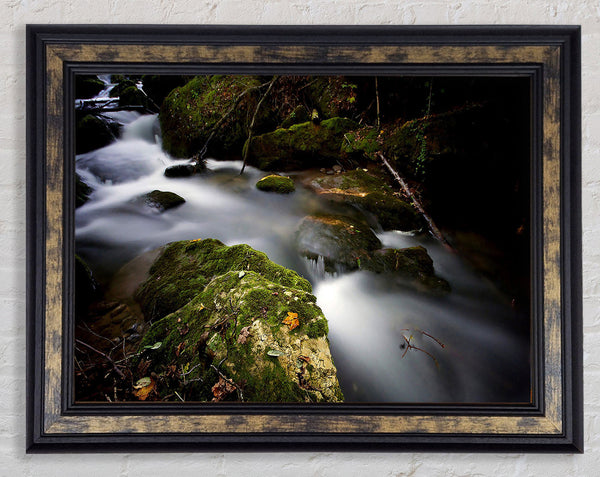 Forest Mist Creek Framed Print