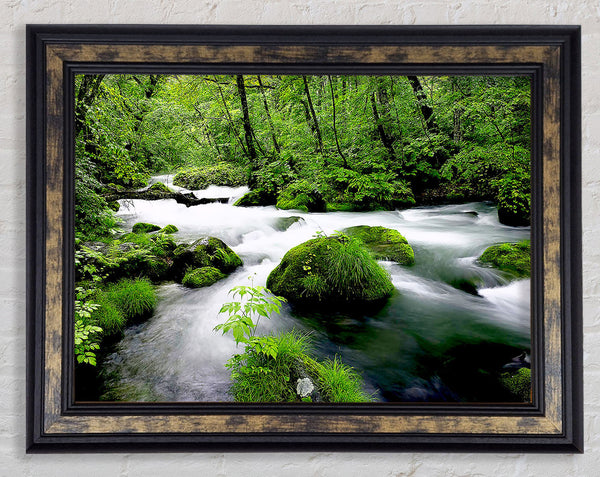 Green Forest Stream Framed Print