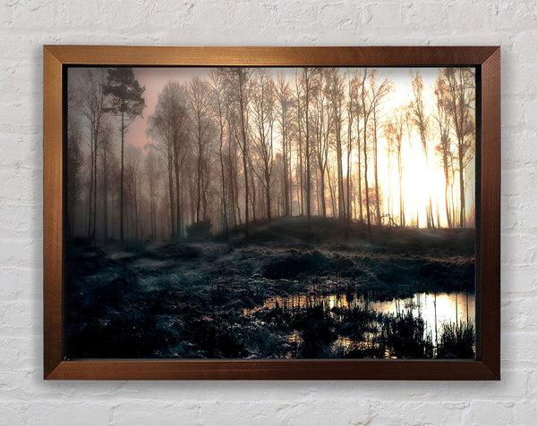 Early Morning Swamp Framed Print