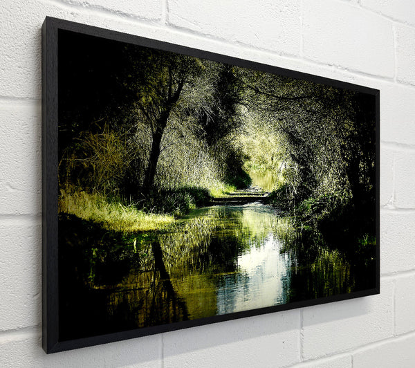 Forest Waterway