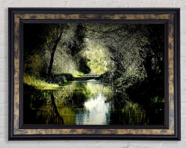 Forest Waterway Framed Print
