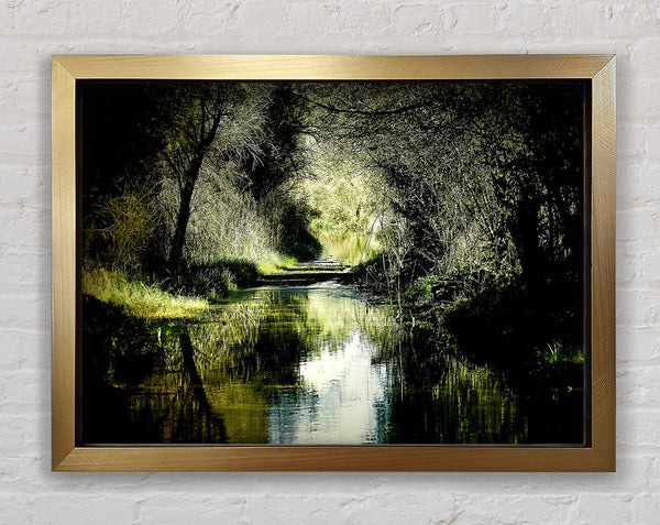 Forest Waterway Framed Print