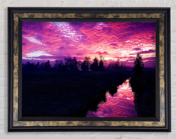 Cold Morning Framed Print