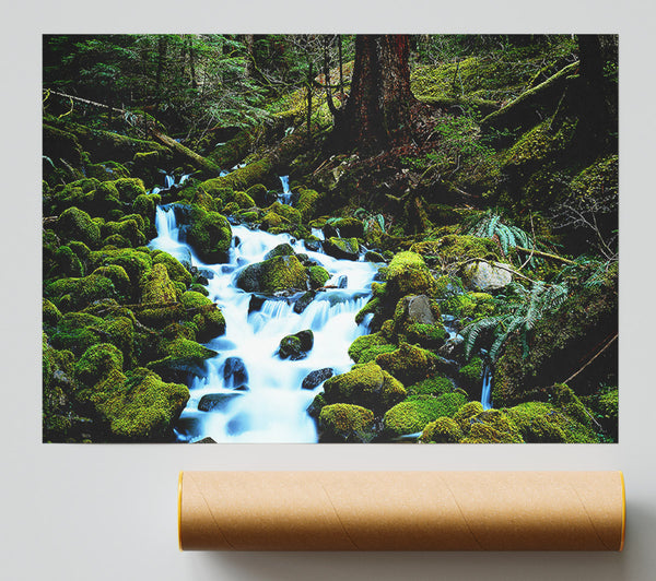 Forest Stream Movement Poster