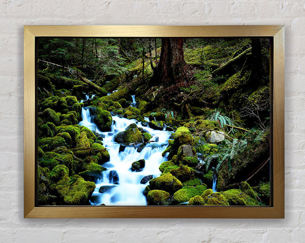 Forest Stream Movement Framed Print