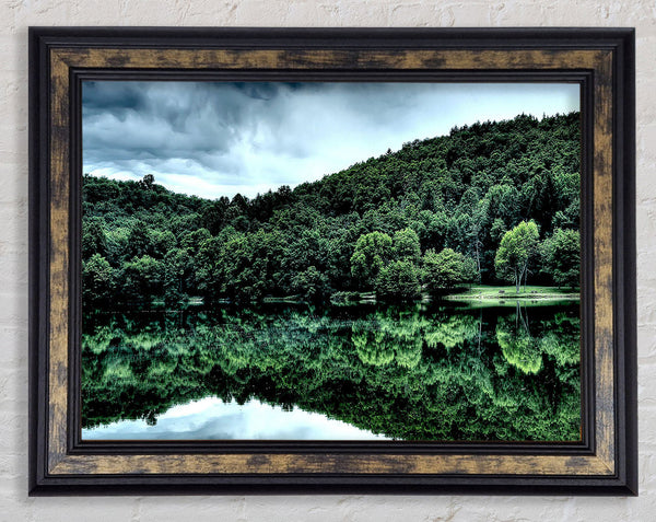 Forest Lake Reflection Framed Print