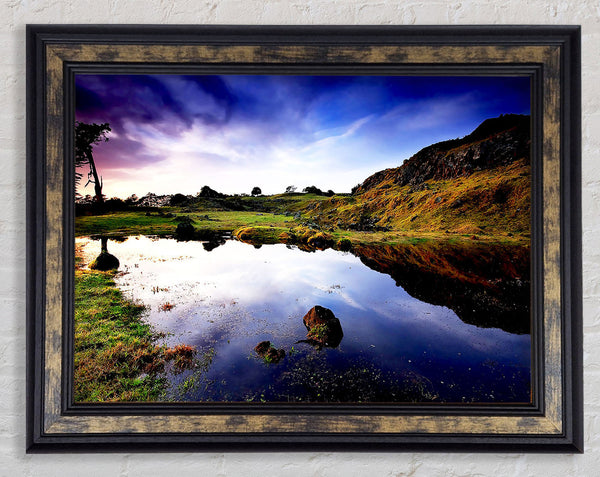 In The Scottish Highlands Framed Print