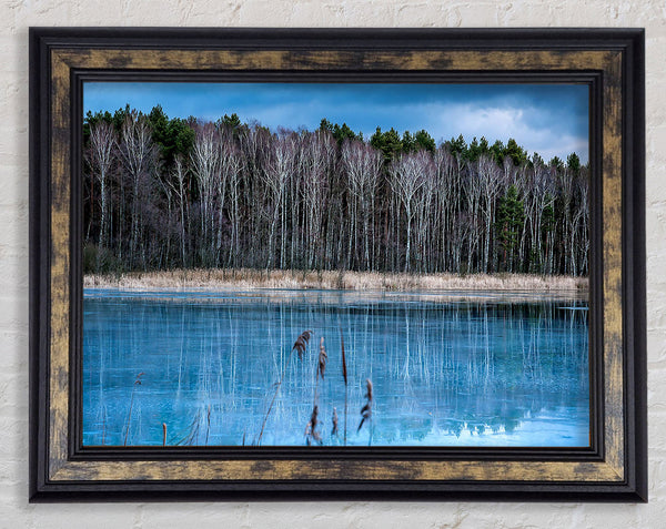 Ice Lake Framed Print